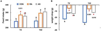 Two plants improve stress response of a subterranean herbivore by downregulating amphetamine addiction pathways